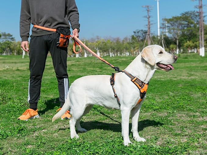 TRUE LOVE Truelove Adjustable No-Pull Dog Harness Reflective Pup Vest Harnesses Comfortable Control Brilliant Colors TLH5651(Orange,S)