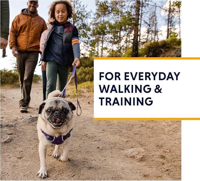 Ruffwear, Front Range Dog Harness, Reflective Soft Padded Everyday Harness with Dual Leash Clips, Adjustable and Lightweight Fit for Training or Walking for All Dogs, Purple Sage, Large/X-Large