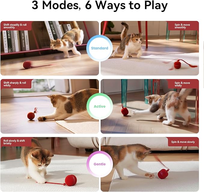 Cheerble Interactive Cat Toys for Indoor Cats - Wicked Ball Duo 2 Automatic Cat Toy with Dual Interchangeable Shells, Electronic Pet Toy with Bird Chirping Sounds, Rolling Cat Toy for Kittens, Red