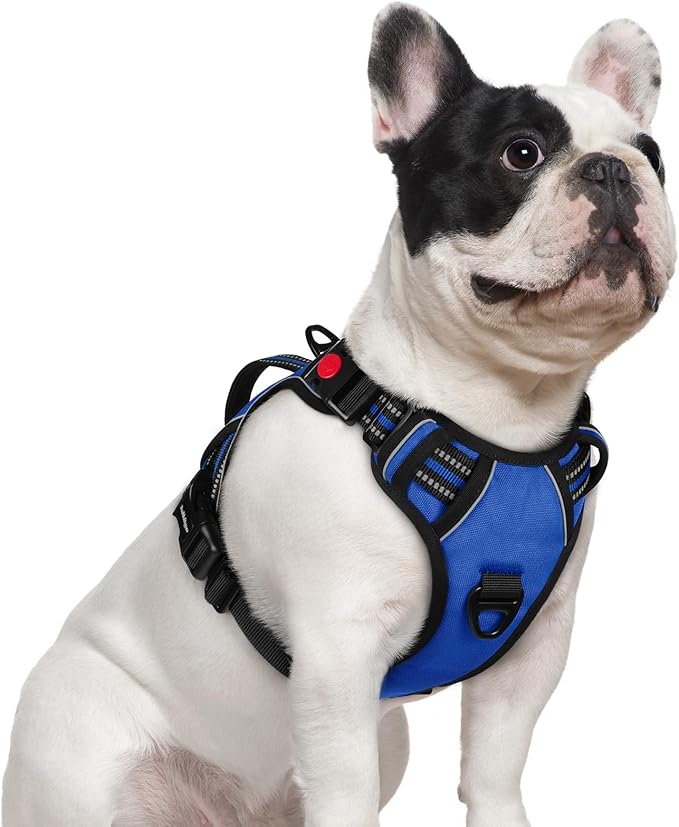 rabbitgoo Dog Harness Small Sized Dog, No Pull Pet Harness with Soft Padded Handle, Adjustable Reflective Vest with 3 Buckles, Easy Walking Harness with 2 Leash Clips, Blue, S