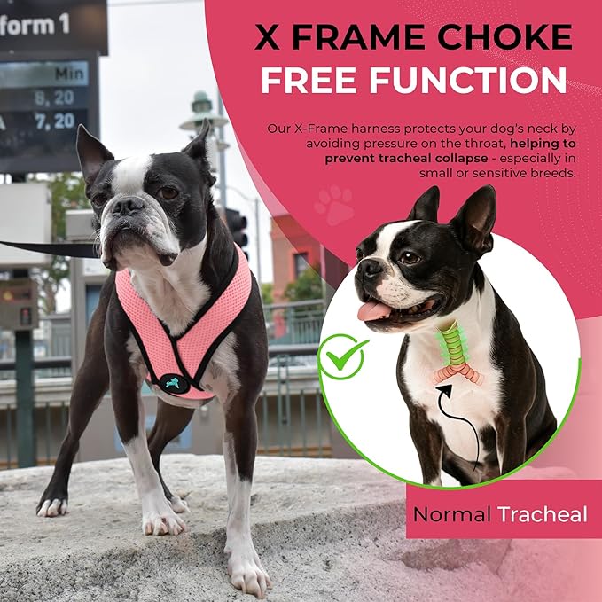 Gooby Comfort X Head-in Harness – Small Dog Harness for Toy Breeds (5–9 lbs), Pink, Small