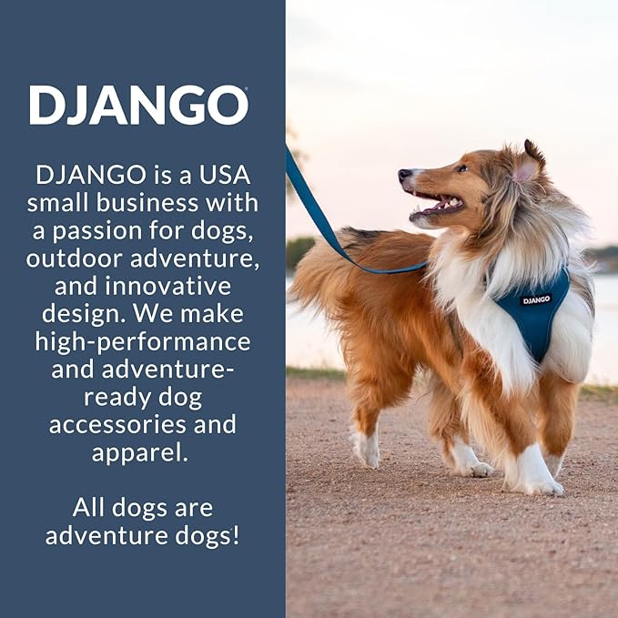 DJANGO Adventure Dog Harness - Stylish and Durable Medium Dog Harness for Outdoor Adventures and Everyday Wear - Forest Green Neoprene Adjustable Harness for Dogs with Reflective Piping, Brass D-Ring