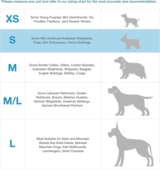 Blue-9 Buckle-Neck Balance Harness, Fully Customizable Fit No-Pull Harness, Ideal for Dog Training and Obedience, Made in The USA, Red, Small