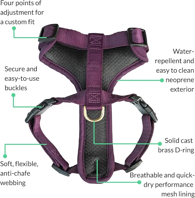 DJANGO Adventure Dog Harness - Stylish, and Durable Small Dog Harness for Outdoor Adventures and Everyday Wear - Plum Purple Neoprene Adjustable Harness for Dogs with Reflective Piping, Brass D-Ring