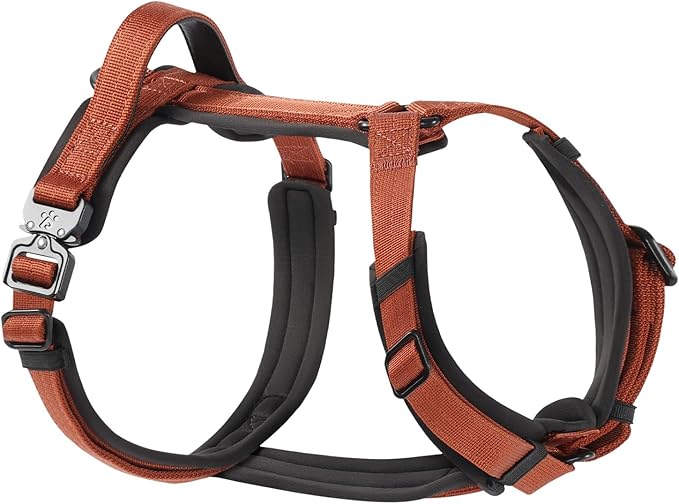 CLEPAWS Dog Harness for X-Large Dogs, No Pull Dog Harness Easy Walk with Metal Hardware, Ergonomic Y-Shaped Design, Soft Padding, Padded Handle, Durable High-Tensile Nylon (Canyon Red, XL)