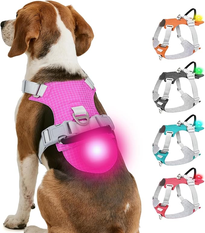 Joytale Lightweight Light Up Dog Harness, Rechargeable No-Pull LED Dog Harness with Detachable Light Box, Airtag Holder, Adjustable for Night Walking, Running & Everyday Use, Hotpink, M
