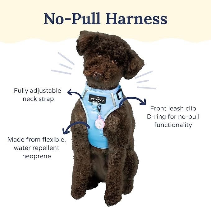 Lucy & Co. The Denim No-Pull Dog Harness - Size Medium - Vest to Stop Pulling & Walk Easy - Comfortable Leash Training Product w/Adjustable Chest & Neck Straps