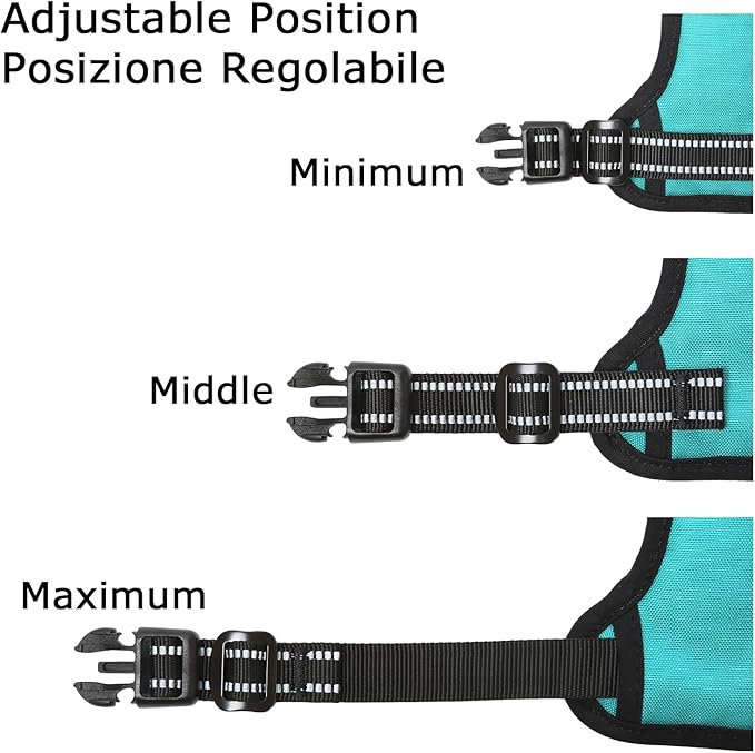 HEELE Dog Harness, No Pull Adjustable Padded Reflective Harness for Small Medium Large Dogs with Handle for Walking Training, Turquoise, XL