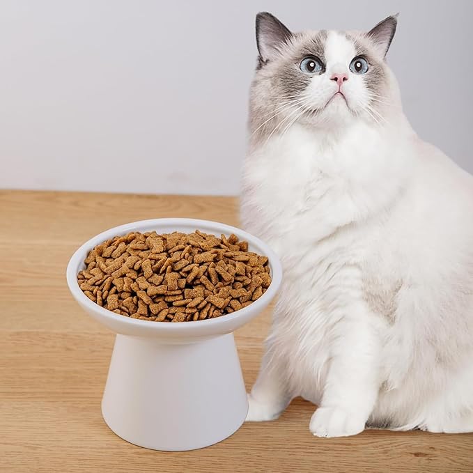 6.2 Inch Extra Wide Elevated Ceramic Cat Bowls, Food and Water Bowl Set for Elder Big Cats Small Dogs, Raised Design for Pet Easy Eating, Protect Cat's Spine Set of 4(White)