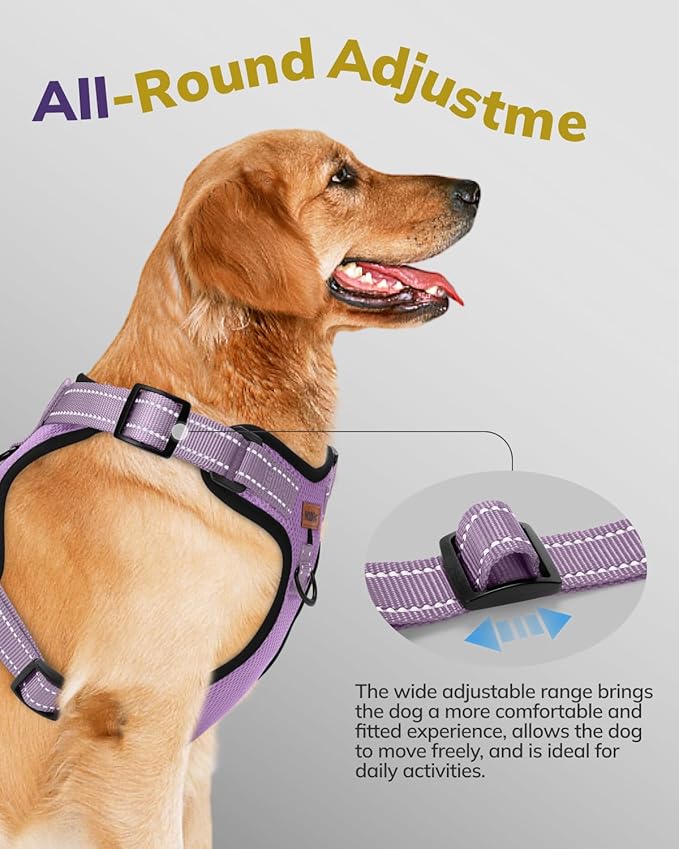 MIDOG No-Pull Dog Harness | Adjustable & Reflective Pet Harness Leash Set for Small Medium Large Dogs Walking, Training| No Choke, Front Clip, Soft Padded Vest with Easy Control Handle - Purple, XS