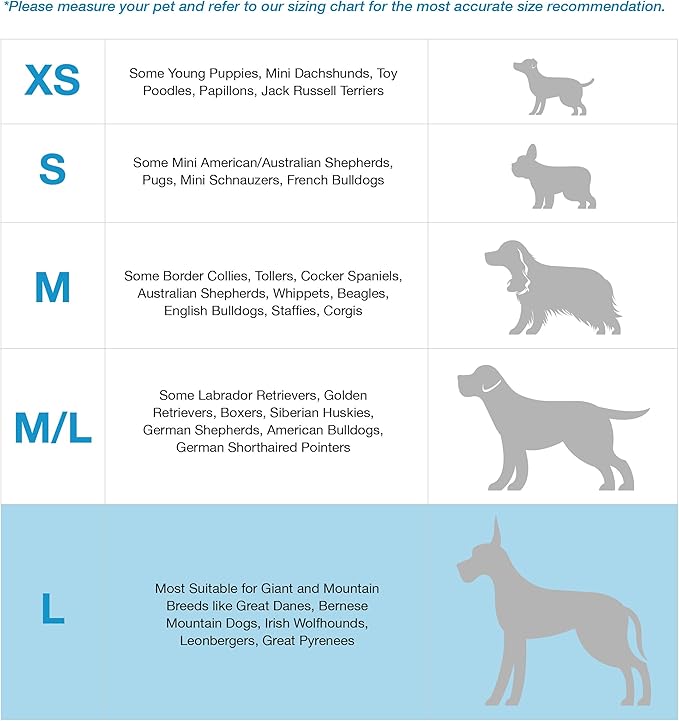 Blue-9 Buckle-Neck Balance Harness, Fully Customizable Fit No-Pull Harness, Ideal for Dog Training and Obedience, Made in The USA, Black, Large