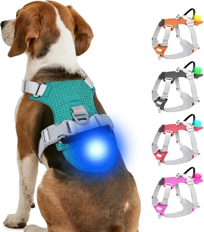 Joytale Lightweight Light Up Dog Harness, Rechargeable No-Pull LED Dog Harness with Detachable Light Box, Airtag Holder, Adjustable for Night Walking, Running & Everyday Use, Light Blue, M