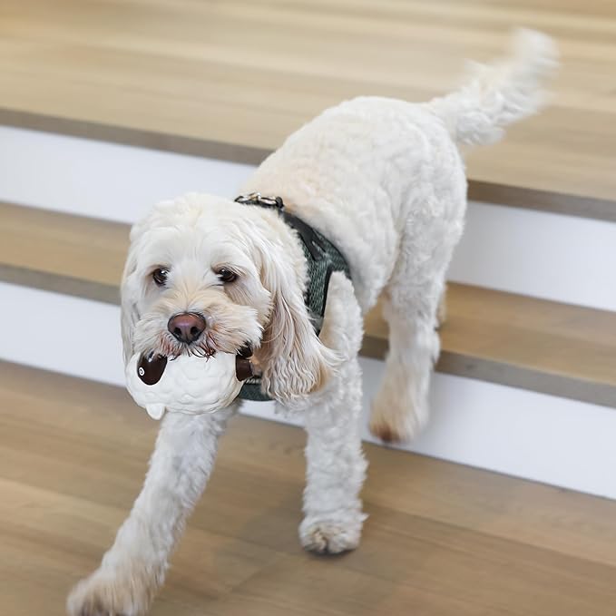 rocket & rex Dog Chew Toy Set for Small to Medium Breeds, Includes a Rope Toy, Rubber Squeaker and Plush Toys with Ball, Reduces Destructive Chewing & Anxiety (Pack of 3)