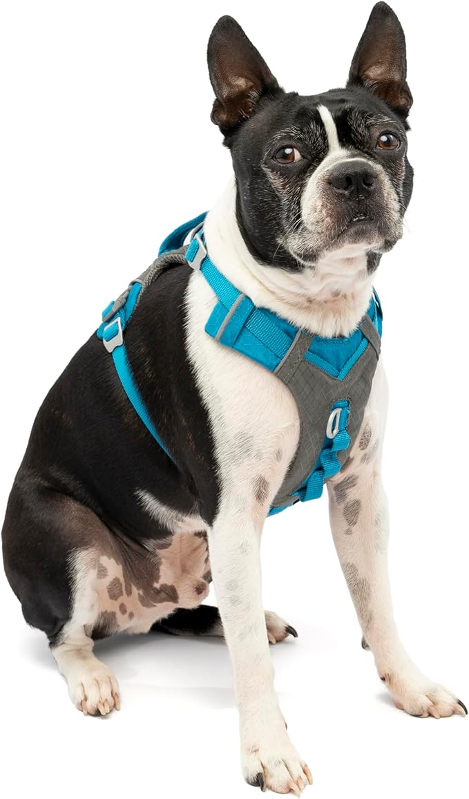 Kurgo Journey Air Dog Harness - Secure Fit for Active Dogs - Padded Chest - Lightweight Ripstop Fabric - Breathable Mesh - Reflective Trim - Back Assist Handle - Coastal Blue - Small
