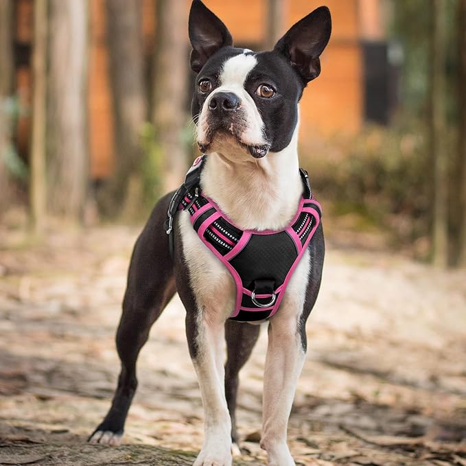 rabbitgoo Dog Harness Small Sized, No Pull Dog Vest with 3 Buckles, Adjustable Soft Padded Pet Harness with Easy Control Handle and Reflective Strips, Black & Rose Pink, S