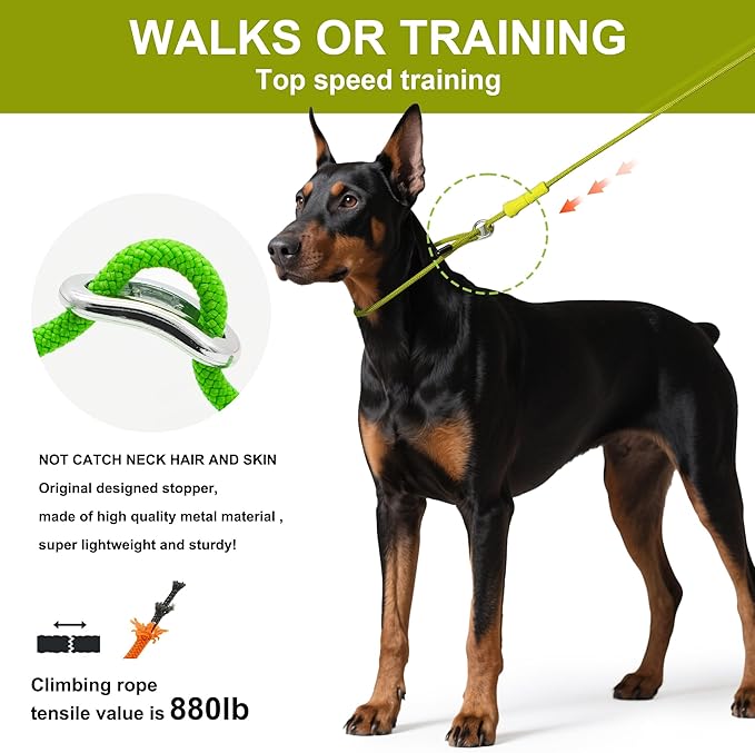 Slip Lead Dog Leash,Training Leash,No-Pull Slip Lead and Collar,Heavy Duty&Durable,6ft Thin Slip Lead for Small,Medium and Large Dogs (Black1.8M Long)