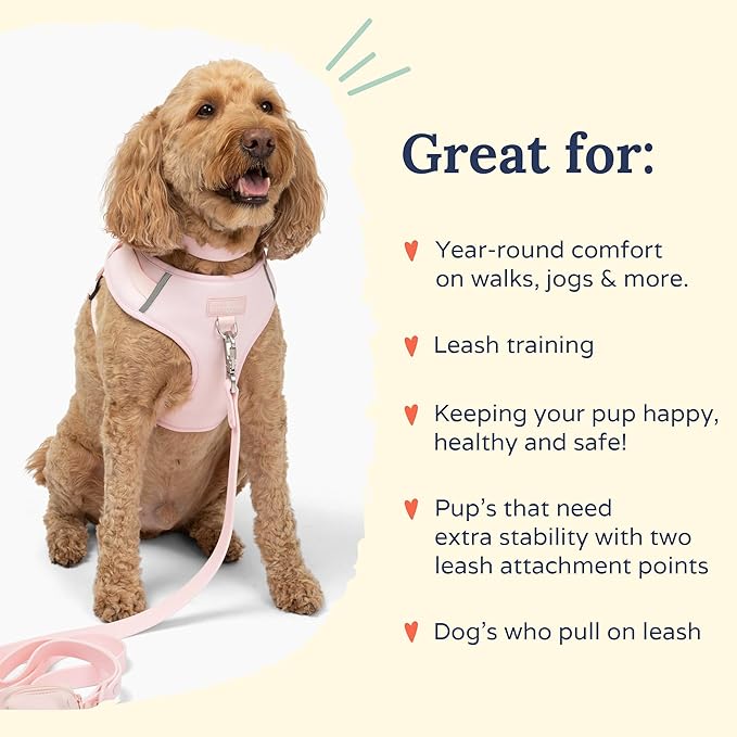 Lucy & Co. The Rosewater No-Pull Dog Harness - Size X-Small - Vest to Stop Pulling & Walk Easy - Comfortable Leash Training Product w/Adjustable Chest & Neck Straps