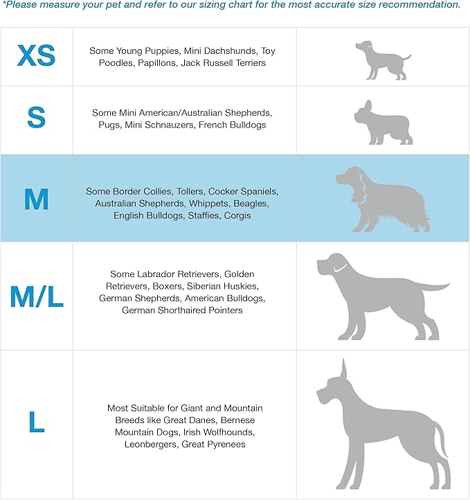 Blue-9 Buckle-Neck Balance Harness, Fully Customizable Fit No-Pull Harness, Ideal for Dog Training and Obedience, Made in The USA, Camo, Medium