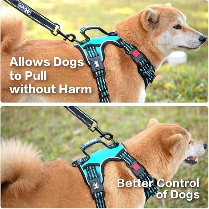 PoyPet No Pull Dog Harness, No Choke Front Clip Reflective Dog Vest with Soft Padded Vertical Handle, 3 Leash Attachments for Small Medium Large Dogs (Mint Blue,L)