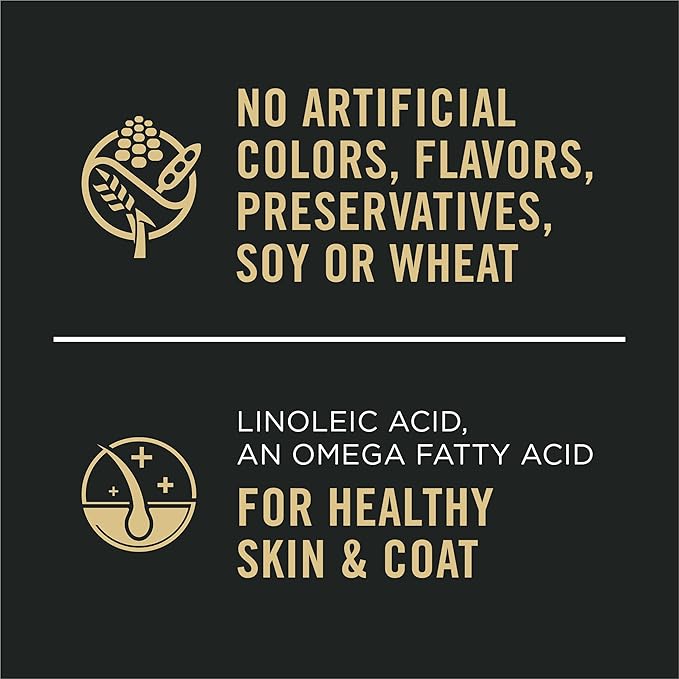 Purina Pro Plan Sensitive Skin and Stomach Dog Food Wet Classic Pate Lamb and Oat Meal Entrée - (Pack of 12) 13 oz. Cans