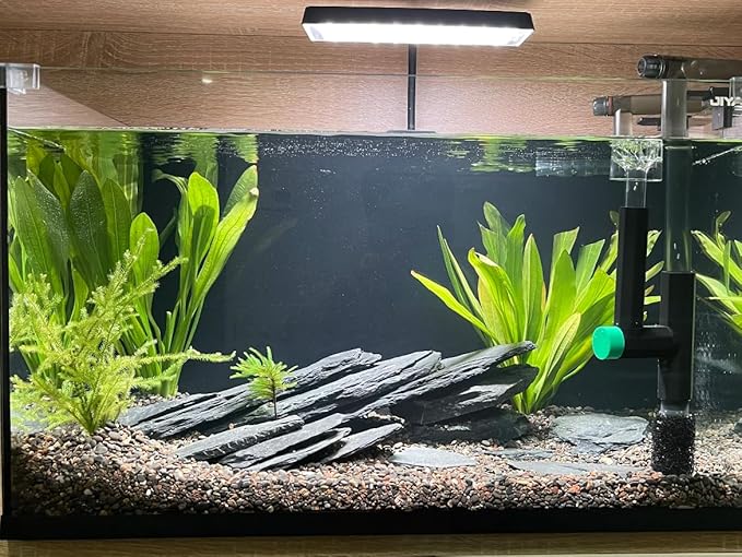 Natural Slate Stone Rocks 2 to 4 inch Aquariums Stone for Aquascaping,Terrariums,Reptile Enclosures,Paludariums, and Gardens-5lb