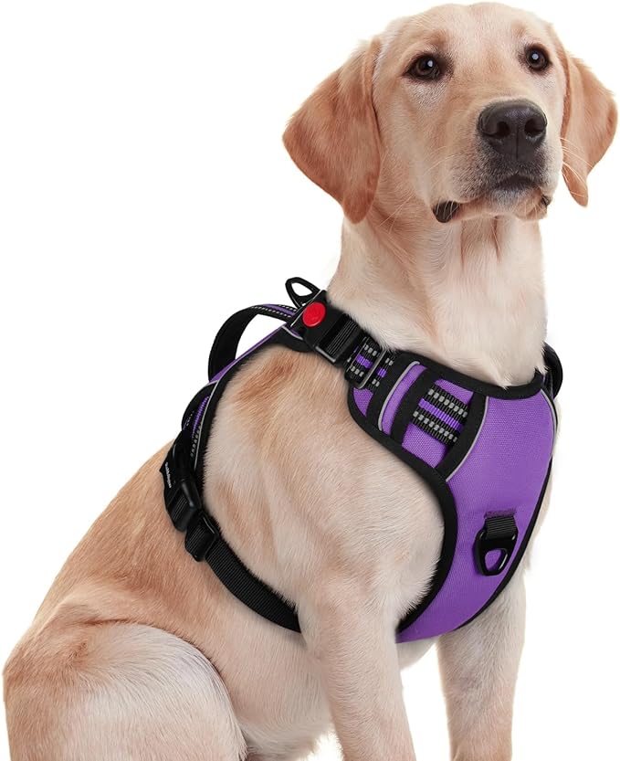 rabbitgoo Dog Harness for Large Dogs, No Pull Pet Harness with Soft Padded Handle, Adjustable Reflective Vest with 3 Buckles, Easy Walking Harness with 2 Leash Clips, Purple, M
