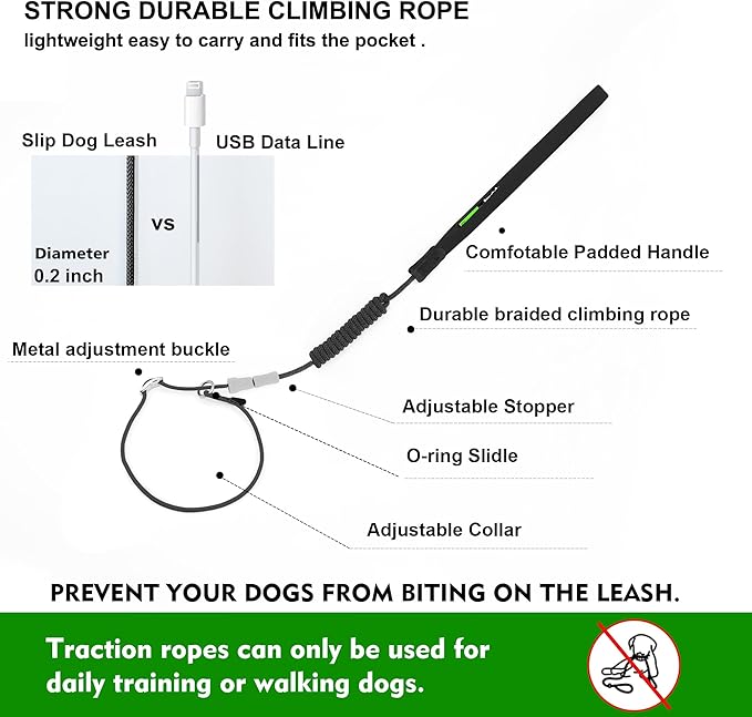 Slip Lead Dog Leash,Training Leash,No-Pull Slip Lead and Collar,Heavy Duty&Durable,4ft Thin Slip Lead for Small,Medium and Large Dogs (Orange1.2M Long)