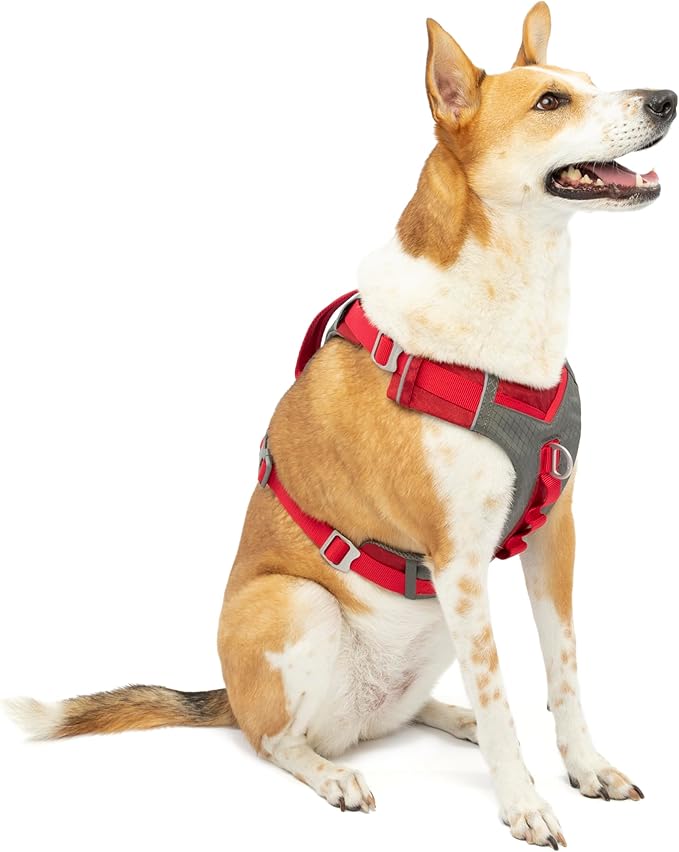 Kurgo Journey Air Dog Harness - Secure Fit for Active Dogs - Padded Chest - Lightweight Ripstop Fabric - Breathable Mesh - Reflective Trim - Back Assist Handle - Red - Large