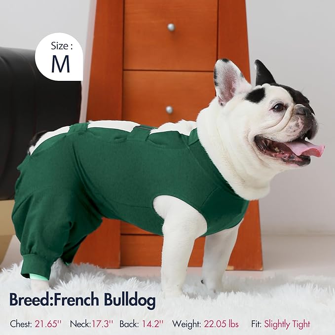 IECOii Dog Onesie for Surgery,Dog Surgery Suit Female Spay Recovery Suit for Medium Size Dog,Dog Recovery Suit Male Pet Abdominal Anti Licking Shirt,Dog Bodysuit Alternative to Cone E-Collar,M-Green