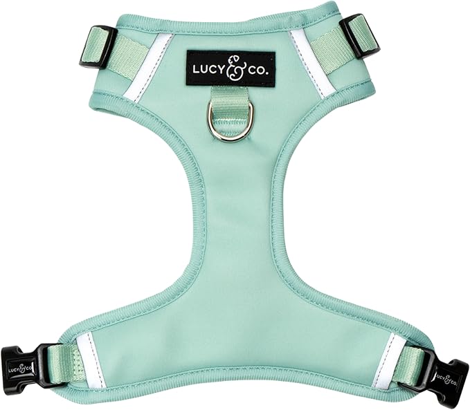 Lucy & Co. The Spring Green No-Pull Dog Harness - Size X-Small - Vest to Stop Pulling & Walk Easy - Comfortable Leash Training Product w/Adjustable Chest & Neck Straps