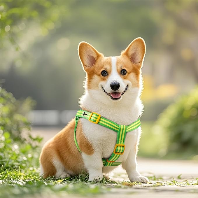 Stripe Step in Dog Harness for Small Dogs, Freedom Nylon Dog Halter Vests, Lightweight and Escape Proof Puppy Harness, Quick Fits for Small Medium and Large Dogs, Green S