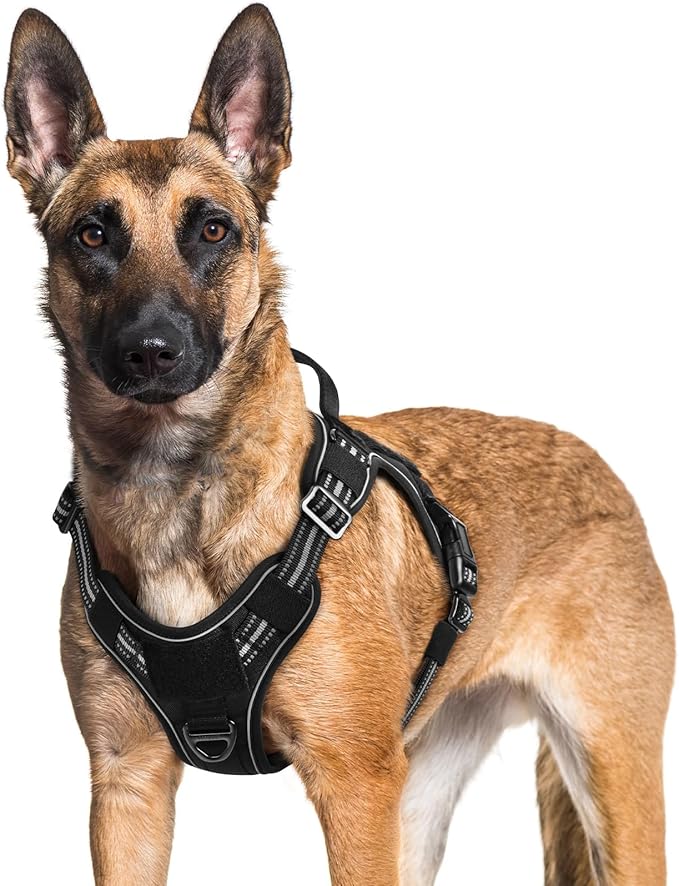 rabbitgoo Dog Harness for Large Dogs No Pull, Tactical Service Pet Vest with Molle and Control Handle, Adjustable and Reflective Military Harness for Easy Walking and Training, Black, XL