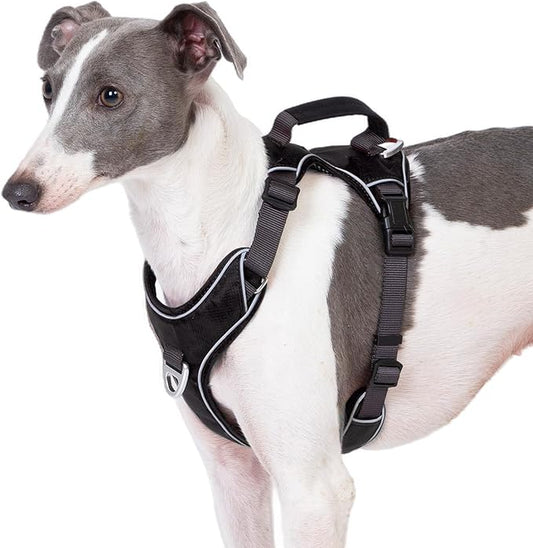 No Pull Dog Harness with 2 Leash Clips, Reflective Vest, Adjustable and Padded, Easy Walk Front/Back Clips (Black, X-Small)