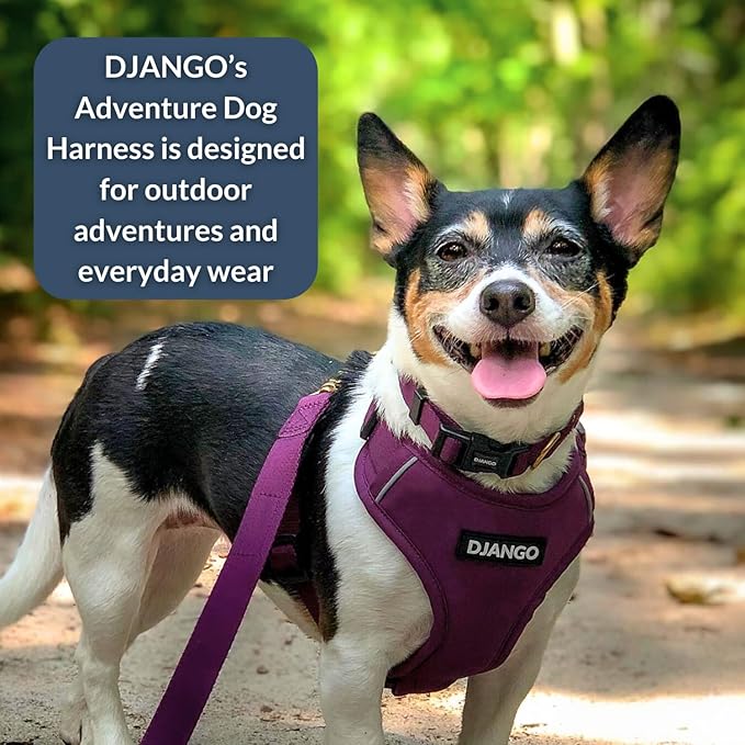 DJANGO Adventure Dog Harness - Stylish, and Durable Medium Dog Harness for Outdoor Adventures and Everyday Wear - Plum Purple Neoprene Adjustable Harness for Dogs with Reflective Piping, Brass D-Ring