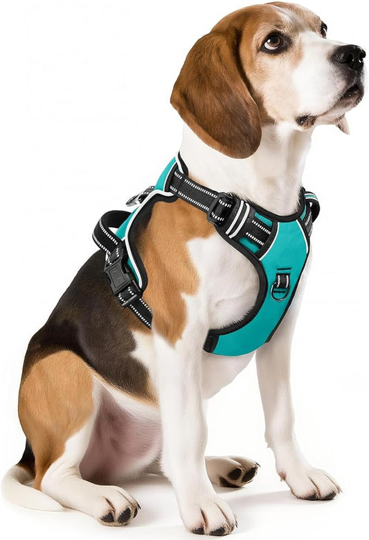 HEELE Dog Harness, No Pull Adjustable Padded Reflective Harness for Small Medium Large Dogs with Handle for Walking Training,Turquoise, M