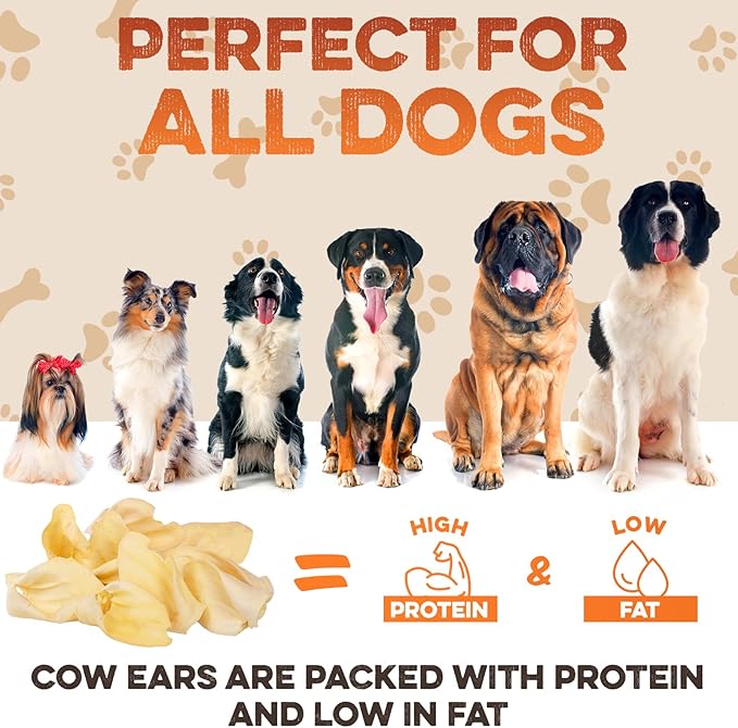 Cow Ears for Dogs – Whole Ears 30 ct, Thick Cut, Grass-Fed Angus Beef, All-Natural No-Rawhide Dog Treat Alternative