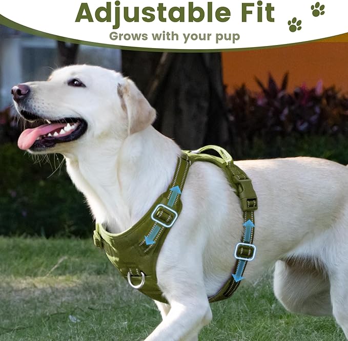No Pull Dog Harness, Reflective Puppy Vest for Small Medium Large Sized Dog (Misty Green,M)