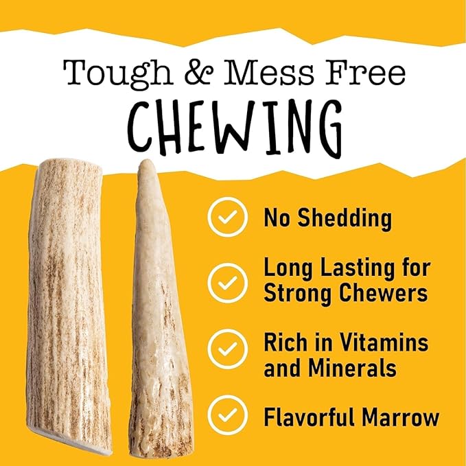 Snatchers Elk Antlers for Dogs – Long Lasting Dog Chews and Dog Toys for Aggressive Chewers, Naturally Shed Deer Antlers for Dogs Processed in The USA, No Additives (Small, 4-5", 2 Count)