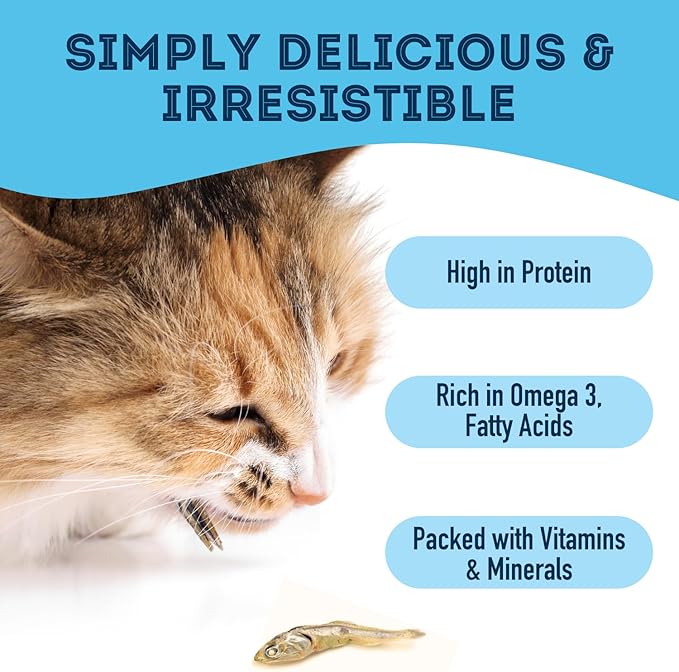 Sardines for Dogs & Sardines for Cats (14.11 oz, Pack of 1) - Dehydrated Single Ingredient Dog Treats - All Natural Dog Treats, Grain Free – Dog Training Treats