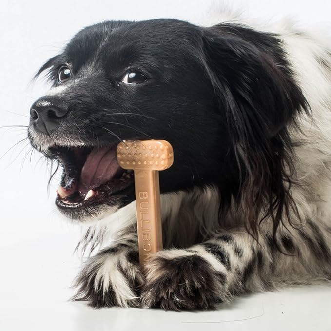 Bullibone Nylon Dog Chew Toy Nylon Bone - Improves Dental Hygiene, Easy to Grip Bottom, and Permeated with Flavor (Small - 3 Pack, Chicken)