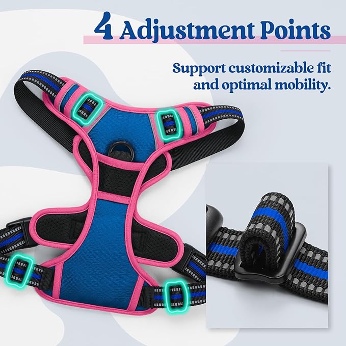 rabbitgoo Dog Harness No Pull with 2 Leash Clips, Adjustable Soft Padded, Reflective Oxford No Choke Pet Vest with Easy Control Handle for Large Dogs, Blue & Hot Pink, L