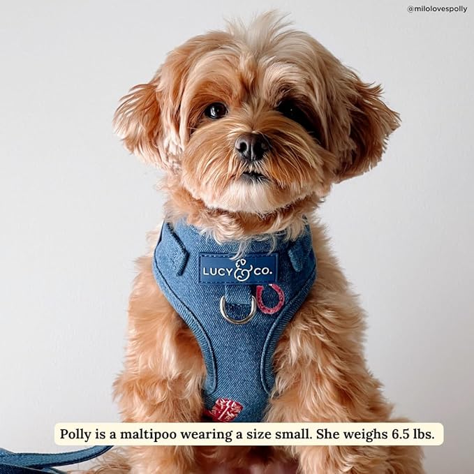 Lucy & Co. The Cute to Boot No-Pull Dog Harness for Dogs – Vest to Stop Pulling & Walk Easy – Comfortable Leash Training Product w/Adjustable Chest & Neck Straps - Demin Cowgirl - Small