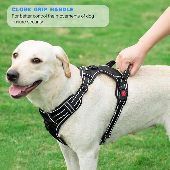No Pull Dog Harness Adjustable Reflective Oxford Easy Control Medium Large Dog Harness with A Free Heavy Duty 5ft Dog Leash (XL (Neck: 21.5"-33", Chest: 30"-39.5"), Purple Harness+Leash)