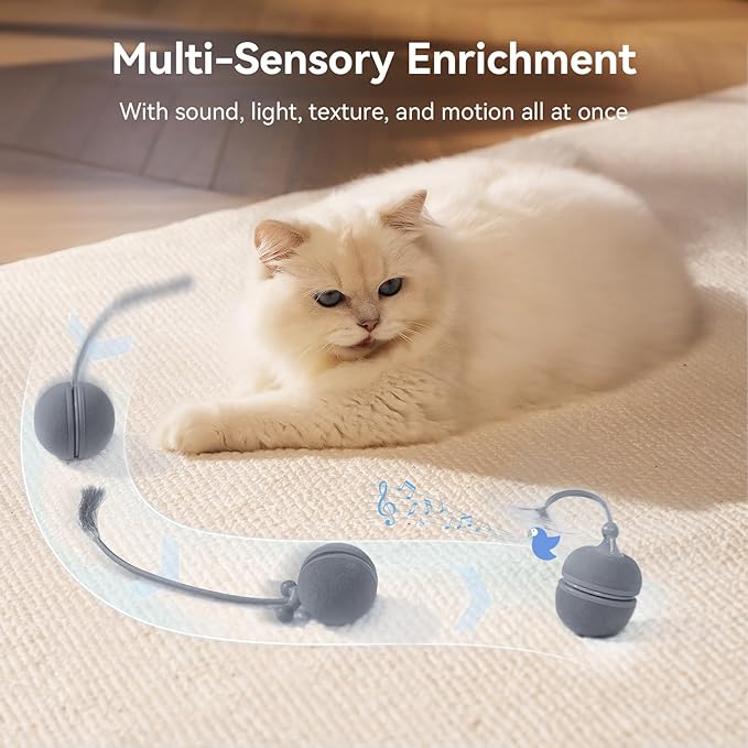 Cheerble Interactive Cat Toys for Indoor Cats - Wicked Ball Duo 2 Automatic Cat Toy with Dual Interchangeable Shells, Electronic Pet Toy with Bird Chirping Sounds, Rolling Cat Toy for Kittens, Blue