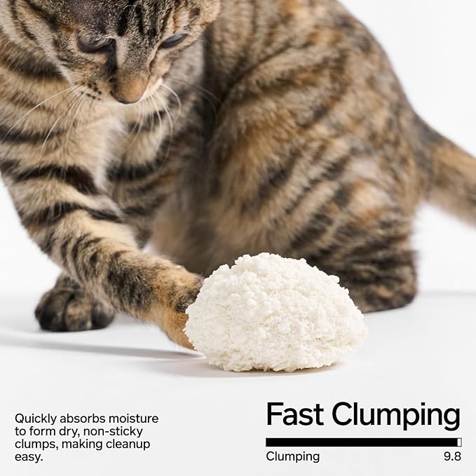 pidan Cassava Cat Litter clumping,Odor Control,Plant-Based Natural Ingredients,Ultra Absorbent and Fast Drying,No Dust,Unscented (5.3lb×2bags)