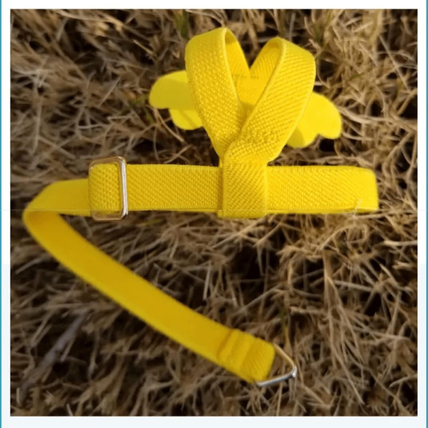 Pet Parrot Bird Harness Leash Adjustable Bird Flying Harness Traction Rope with Cute Wing for Parrots Pigeons Budgerigar Lovebird Cockatiel Mynah Outdoor Training Toy (M, Purple)