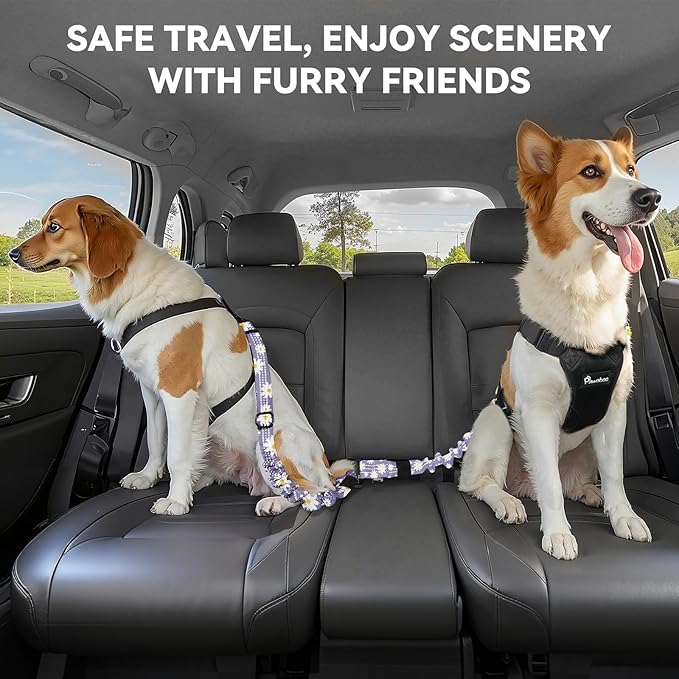 Pawaboo 2Pack Dog Seatbelt for Car, 3-in-1 Dog Car Seat Belt Bungee, Dogs Tether for Cars with Buckle & Hook Latch, Adjustable Reflective Dogs Cars Harness Leash with 360° Lockable Buckle,Light Purple