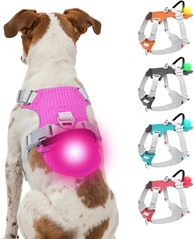 Joytale Lightweight Light Up Dog Harness, Rechargeable No-Pull LED Dog Harness with Detachable Light Box, Airtag Holder, Adjustable for Night Walking, Running & Everyday Use, Hotpink, S