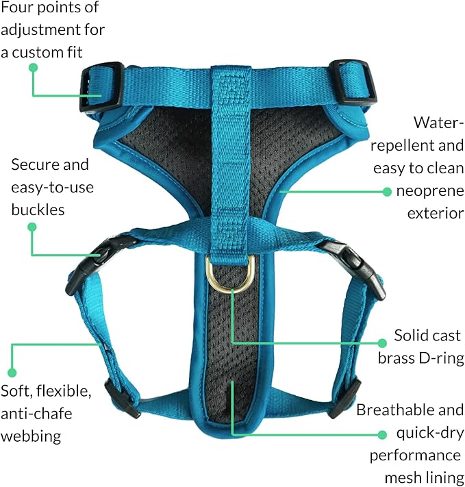 DJANGO Adventure Dog Harness - Stylish & Durable Medium Dog Harness for Outdoor Adventures and Everyday Wear - Pacific Blue Neoprene Adjustable Harness for Dogs with Reflective Piping, Brass D-Ring
