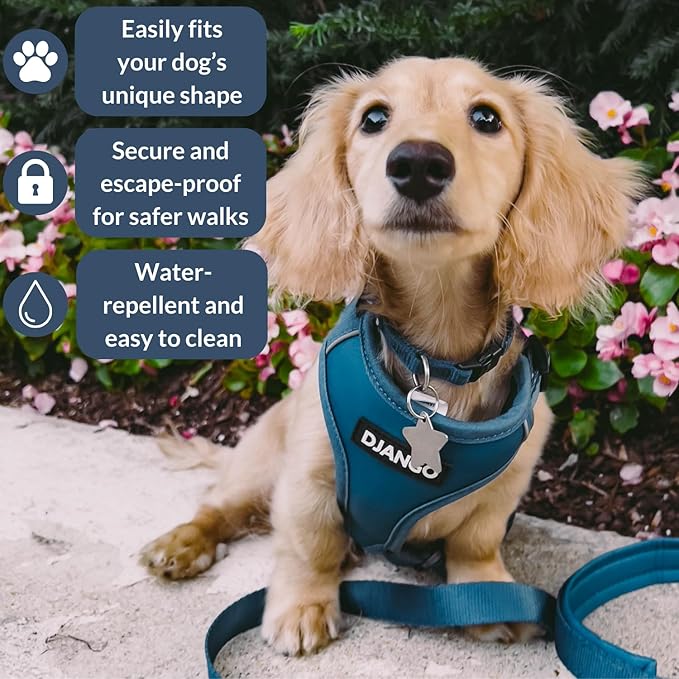 DJANGO Adventure Dog Harness - Stylish and Durable Small Dog Harness for Outdoor Adventures and Everyday Wear - Indigo Blue Neoprene Adjustable Harness for Dogs with Reflective Piping & Brass D-Ring